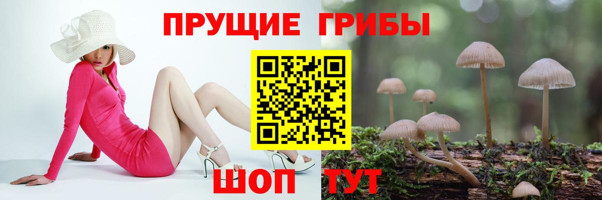 Самара  Галлюциногенные грибы мухоморы  Вход с VPN 